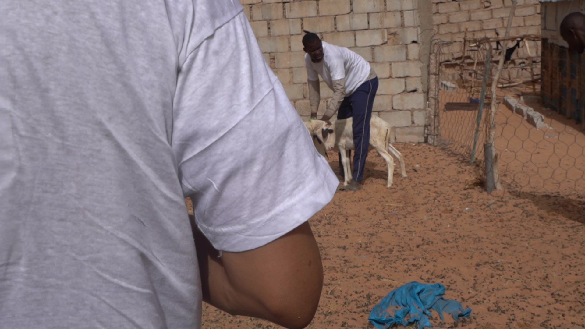 Action de terrain en Mauritanie